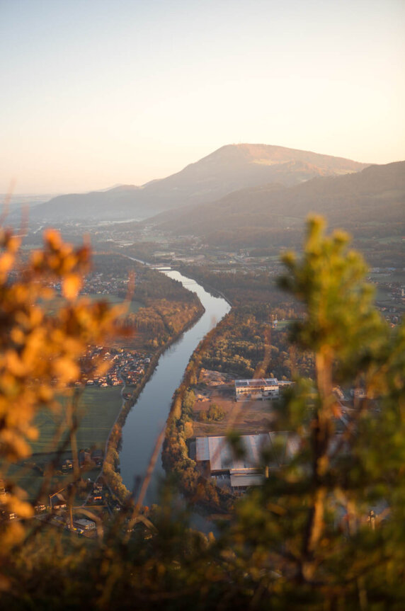 A scenic view of a winding river through a valley with a mountain in the background, framed by blurred foliage in the foreground.