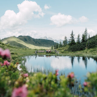 Almenweg in Großarl mit kleinem See, umgeben von Wiesen und Bäumen, unter blauem Himmel mit Wolken.
