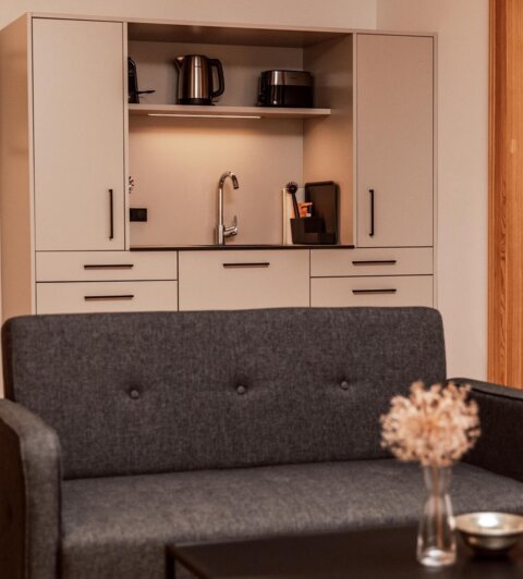 Modern living area with a gray sofa, a black coffee table, and a kitchenette equipped with a kettle and toaster.