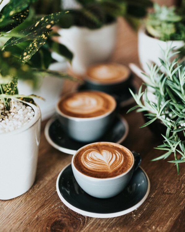 Three cappuccinos with heart latte art on a wooden table surrounded by potted plants.