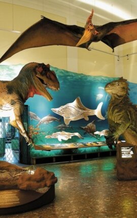 Lebensgroße Dinosaurier-Modelle im Haus der Natur in Salzburg.