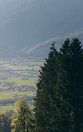 Häuser auf einem Hügel mit Blick auf das sonnige Tal, umgeben von malerischen Bergen in Salzburg.