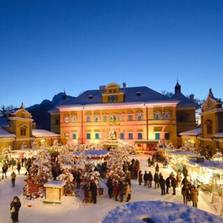 Stimmungsvoller Adventmarkt in Hallein mit beleuchteten Ständen und Christbäumen vor barockem Gebäude bei Abenddämmerung.