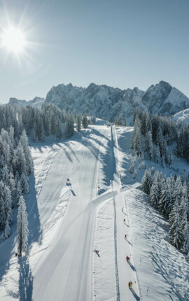 Verschneite Berglandschaft mit Skipiste und Sonnenschein, umgeben von schneebedeckten Bäumen und majestätischen Bergen im Hintergrund.