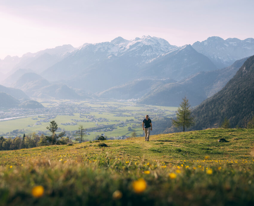 Ein Wanderer genießt den Ausblick auf ein malerisches Tal mit blühenden Wiesen und majestätischen Bergen im Hintergrund.