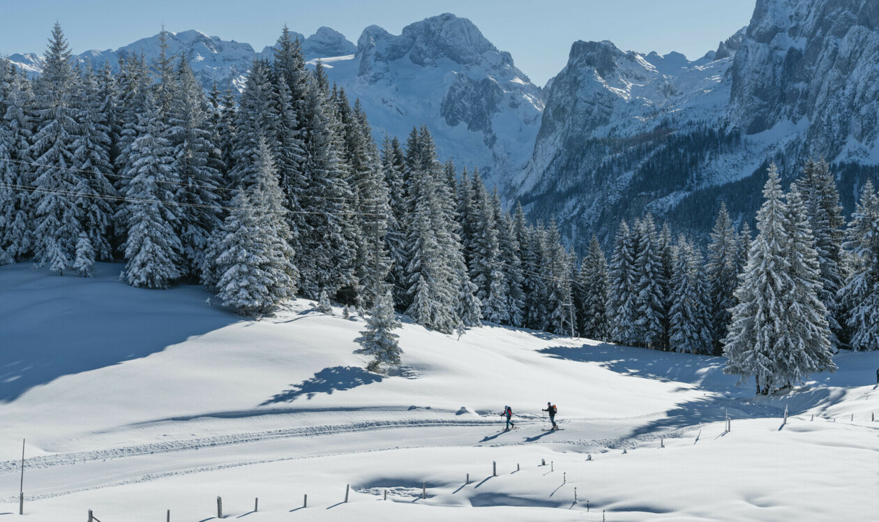 Zwei Personen wandern im tiefen Schnee vor einer Kulisse schneebedeckter Berge und Wälder.