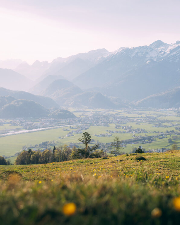 Ein Wanderer genießt den Ausblick auf ein malerisches Tal mit blühenden Wiesen und majestätischen Bergen im Hintergrund.