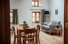 Gemütlicher Wohnbereich in einem Apartment von the salt Hallein in Salzburg mit Holztisch, grauem Sofa und grünen Vorhängen.