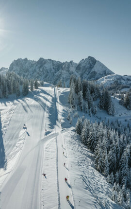 Verschneite Berglandschaft mit Skipiste und Sonnenschein, umgeben von schneebedeckten Bäumen und majestätischen Bergen im Hintergrund.