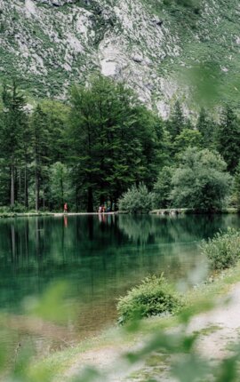 Radfahrer fährt auf einem naturbelassenen Pfad entlang eines klaren Sees, umgeben von üppigem Wald und Bergen.