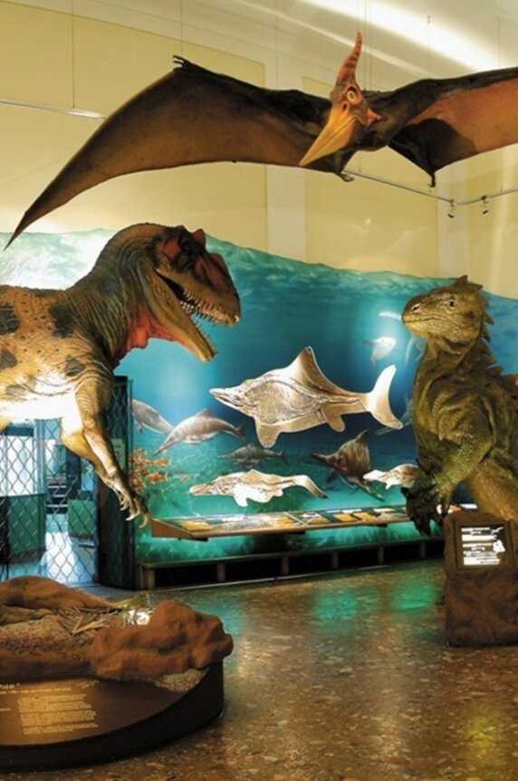 Lebensgroße Dinosaurier-Modelle im Haus der Natur in Salzburg.